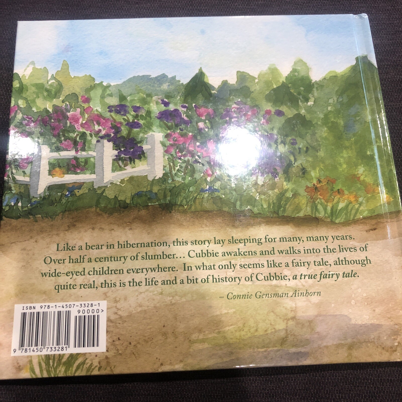 Cubbie the Mackinac Island Bear by Meloche and Angeli (2010, Trade Paperback)