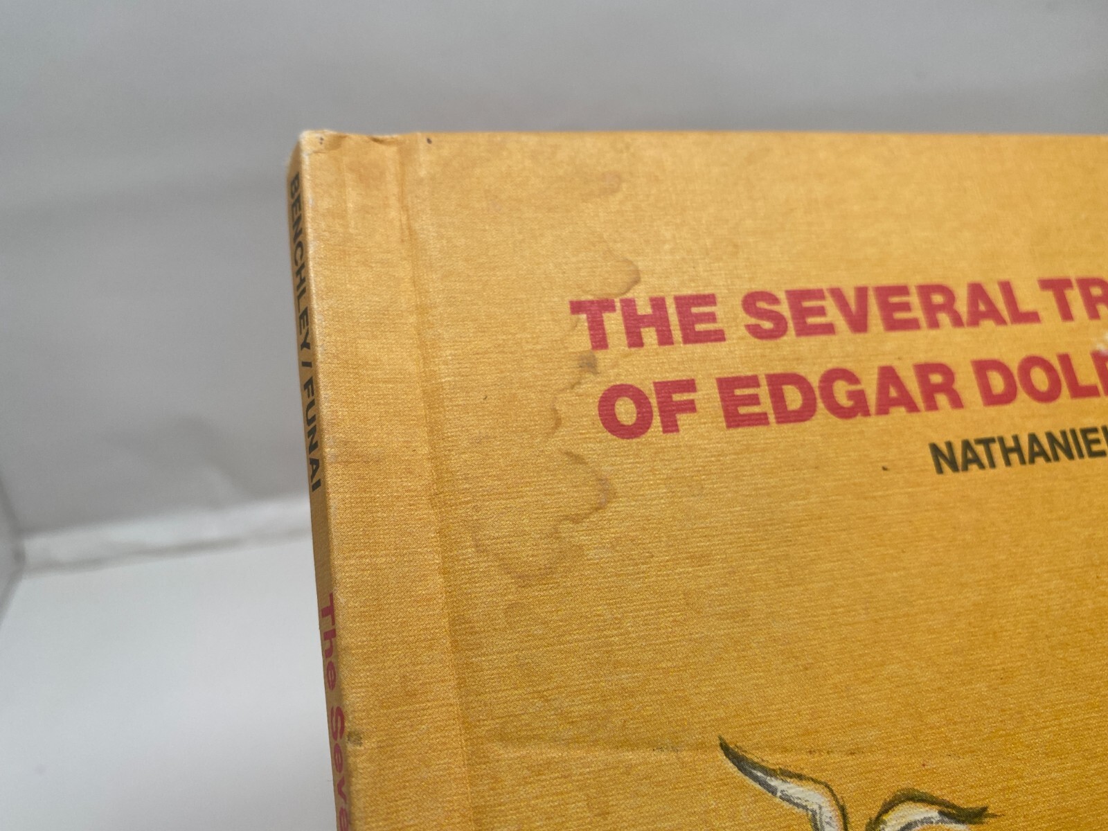 Vintage Kids Book Lot Edgar Dolphin Treat Truck Dog Show Spooky Tricks Ducks HC