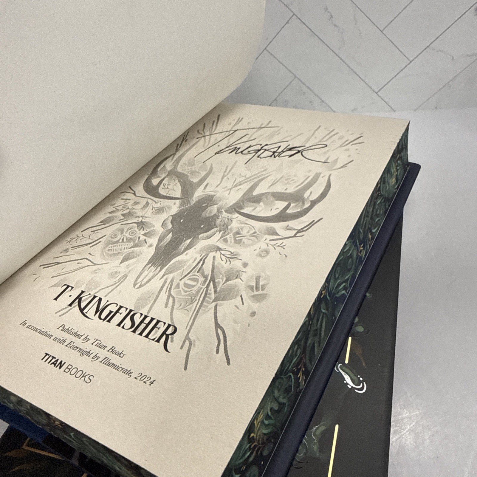Illumicrate Evernight T. Kingfisher Set Hardback Exclusive Sprayed Edges Signed