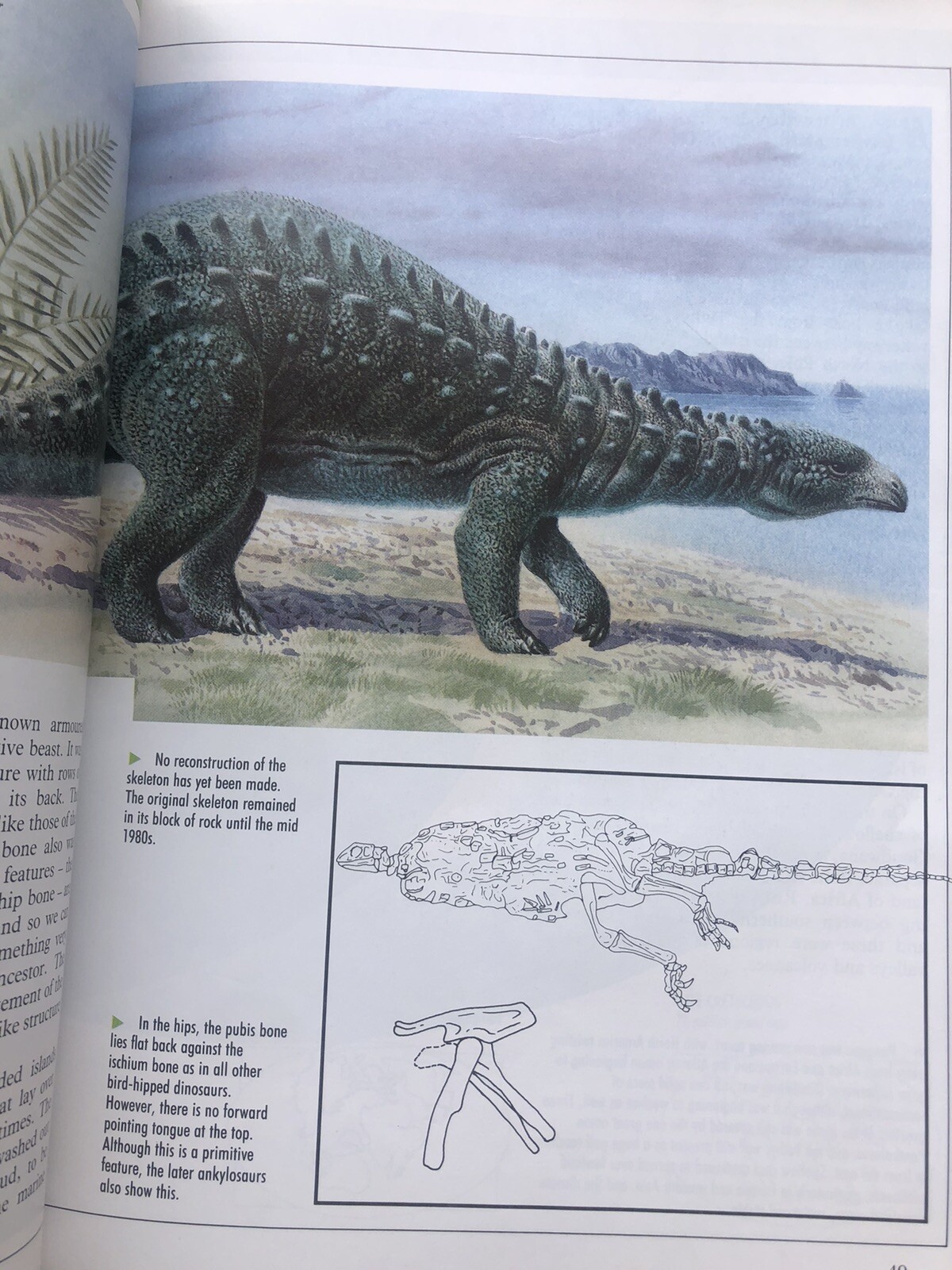 Illustrated Dinosaur Encyclopedia by Dougal Dixon (1988, Hardcover)
