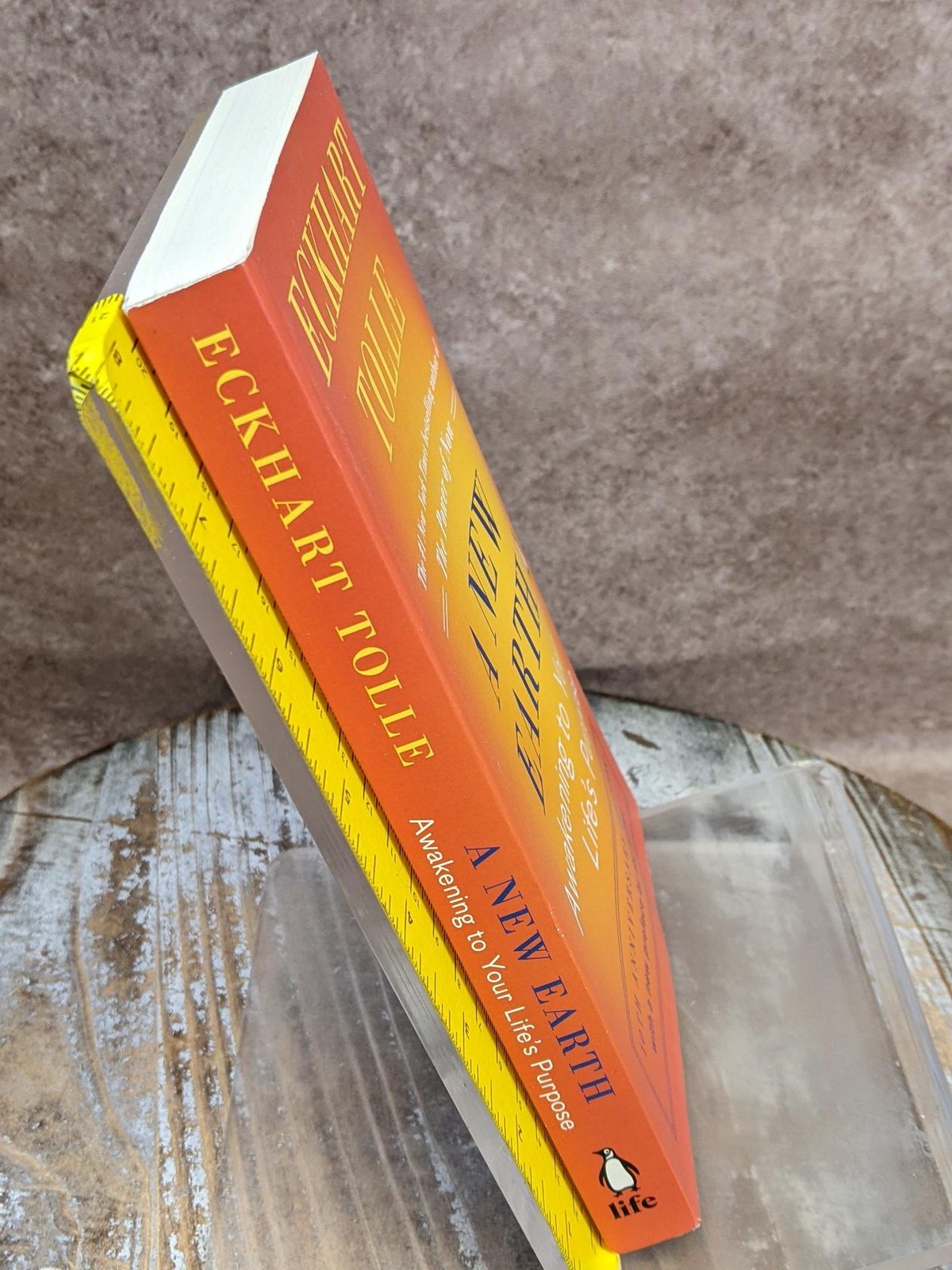 A New Earth: Awakening to Your Life&rsquo;s Purpose by Eckhart Tolle Paperback Book