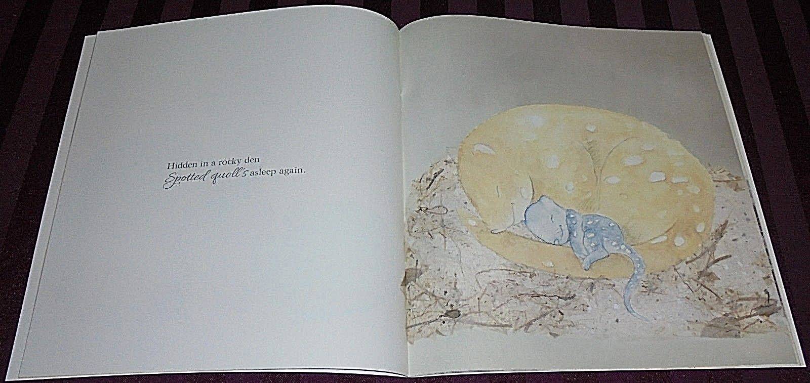 OUTBACK LULLABY (SALLY ODGERS / LISA STEWART) -24cm X 25cm- LARGE BOOK BRAND NEW