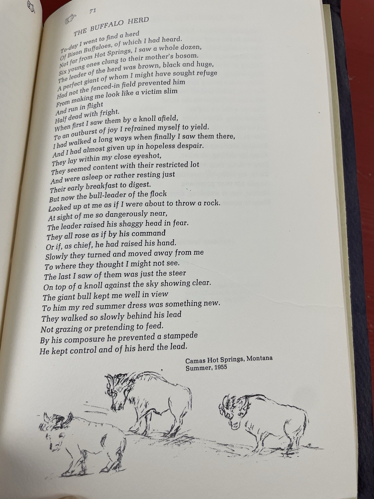 Past & Present, Here & There by Otillie G. Boetzkes PB VTG Poetry Nature 1966