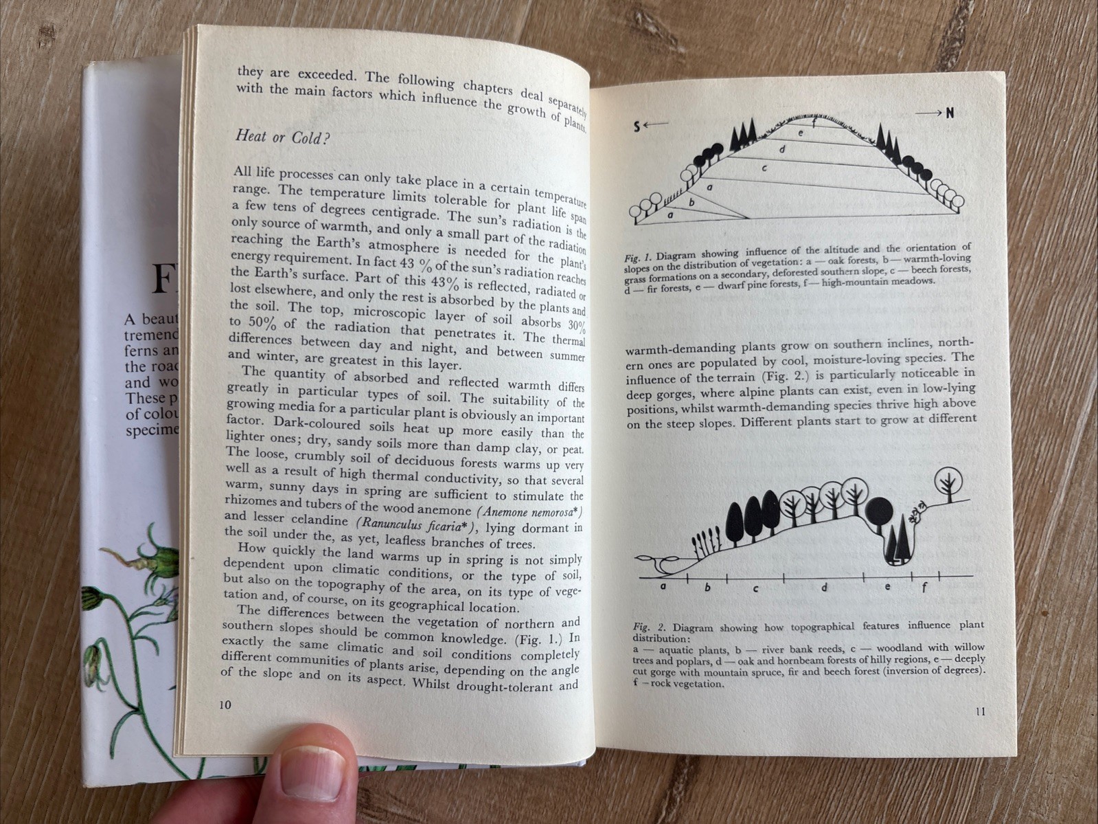 WILD FLOWERS FERNS AND GRASSES Bohumil Slavik 1975 HCDJ Octopus Czech Guide Vtg
