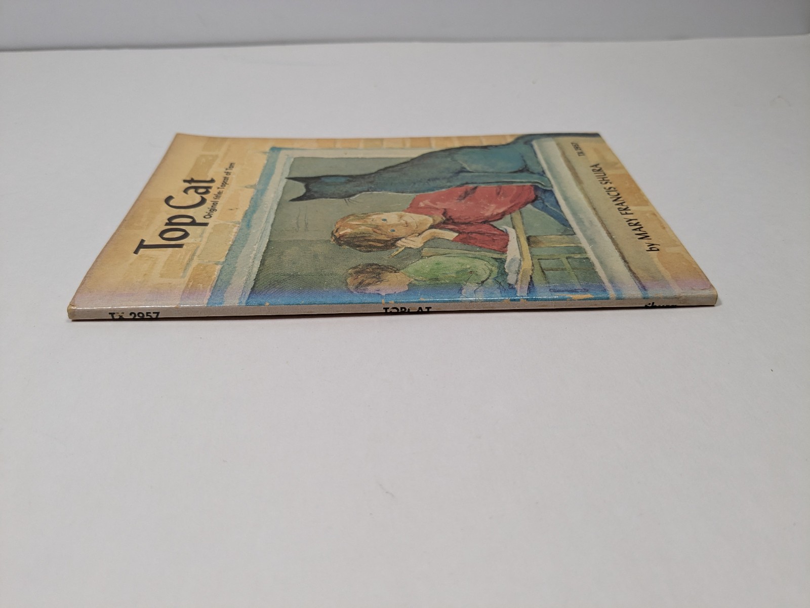 Top Cat by Mary Francis Shura Vintage Paperback Book Children&rsquo;s Illustrated