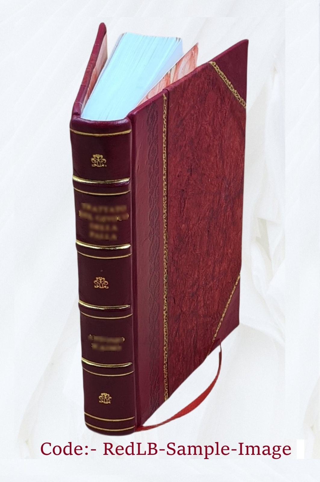 Teaching dull and retarded children, by Annie Dolman Inskeep … [Leather Bound]
