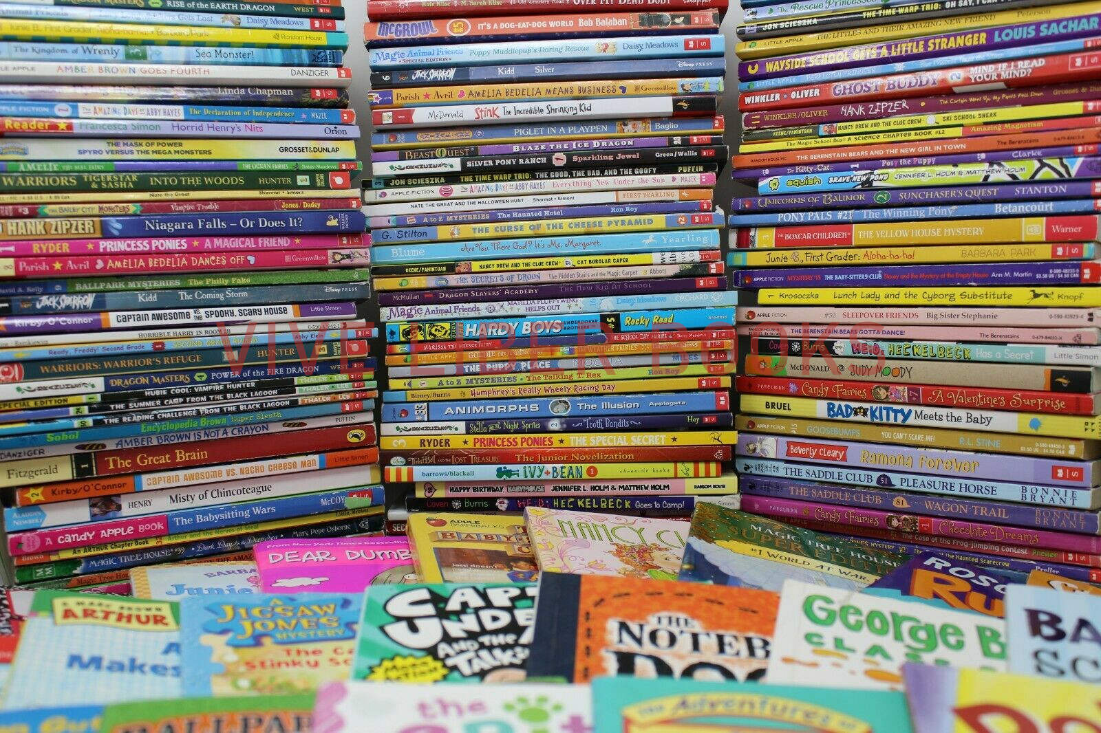 Bulk/Huge Lot of 100 of Children&rsquo;s Kids Chapter Books – Random – Free Shipping!