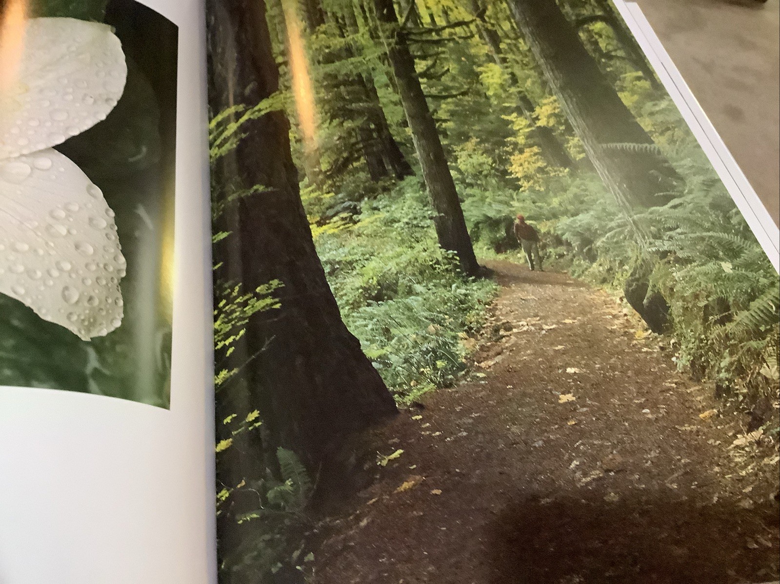 Oregon III (Book) Ray Atkeson, Text By Richard Ross, 1987, 18th printing VGUC.