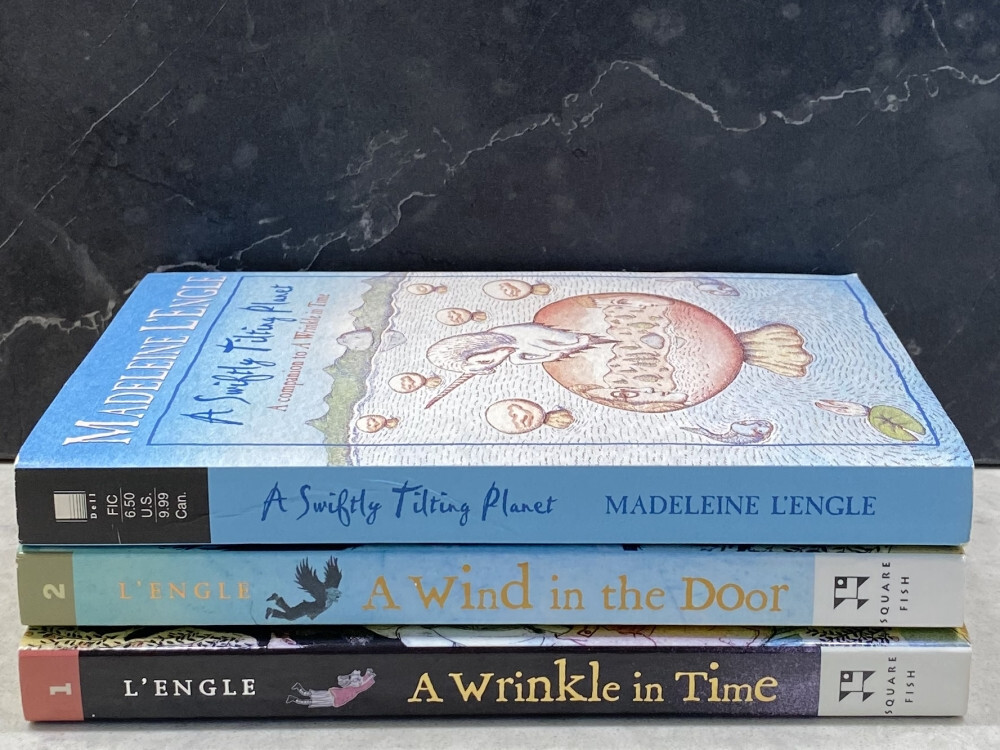 3 bk Lot, Madeleine L&rsquo;Engle A Wrinkle in Time, Wind in the Door, Swiftly Tilting
