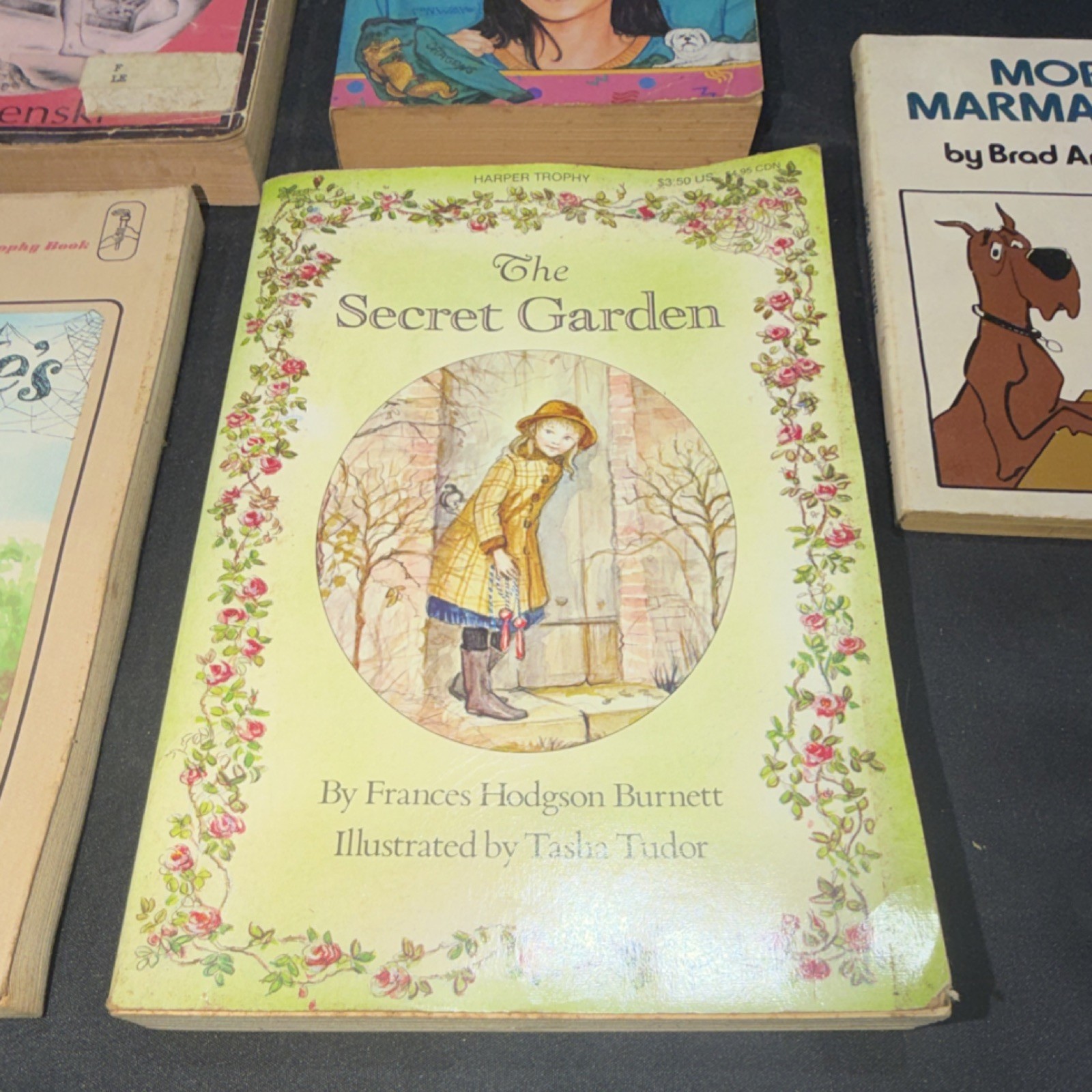Vintage Children&rsquo;s Fiction Paperback Lot – Lenski, Blume, White, Burnett, 5 Boo…