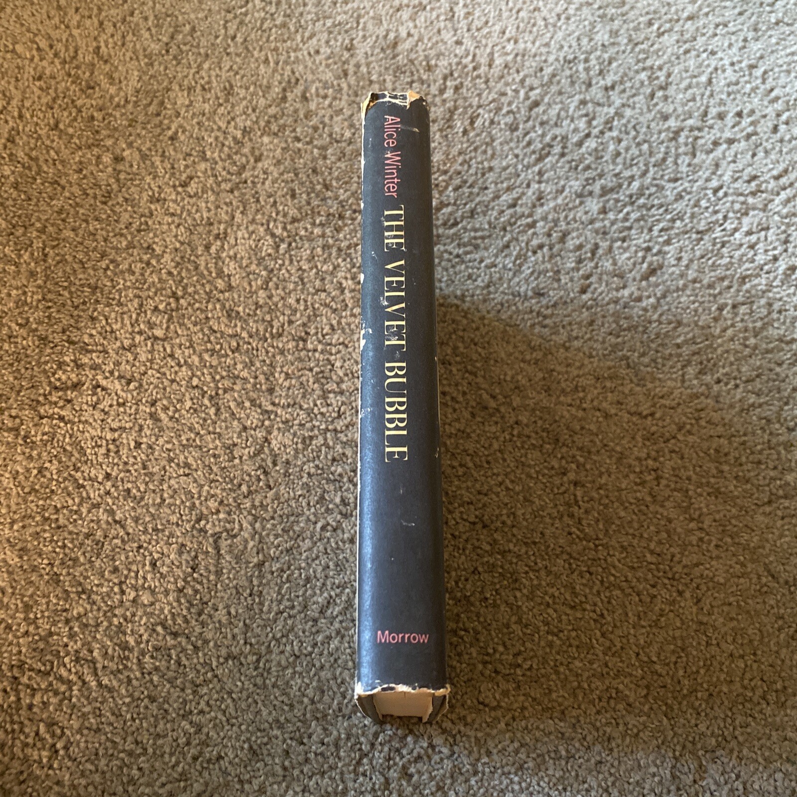 The Velvet Bubble [Hardcover] Alice Winter 1965 Dust Jacket Signed Autographed