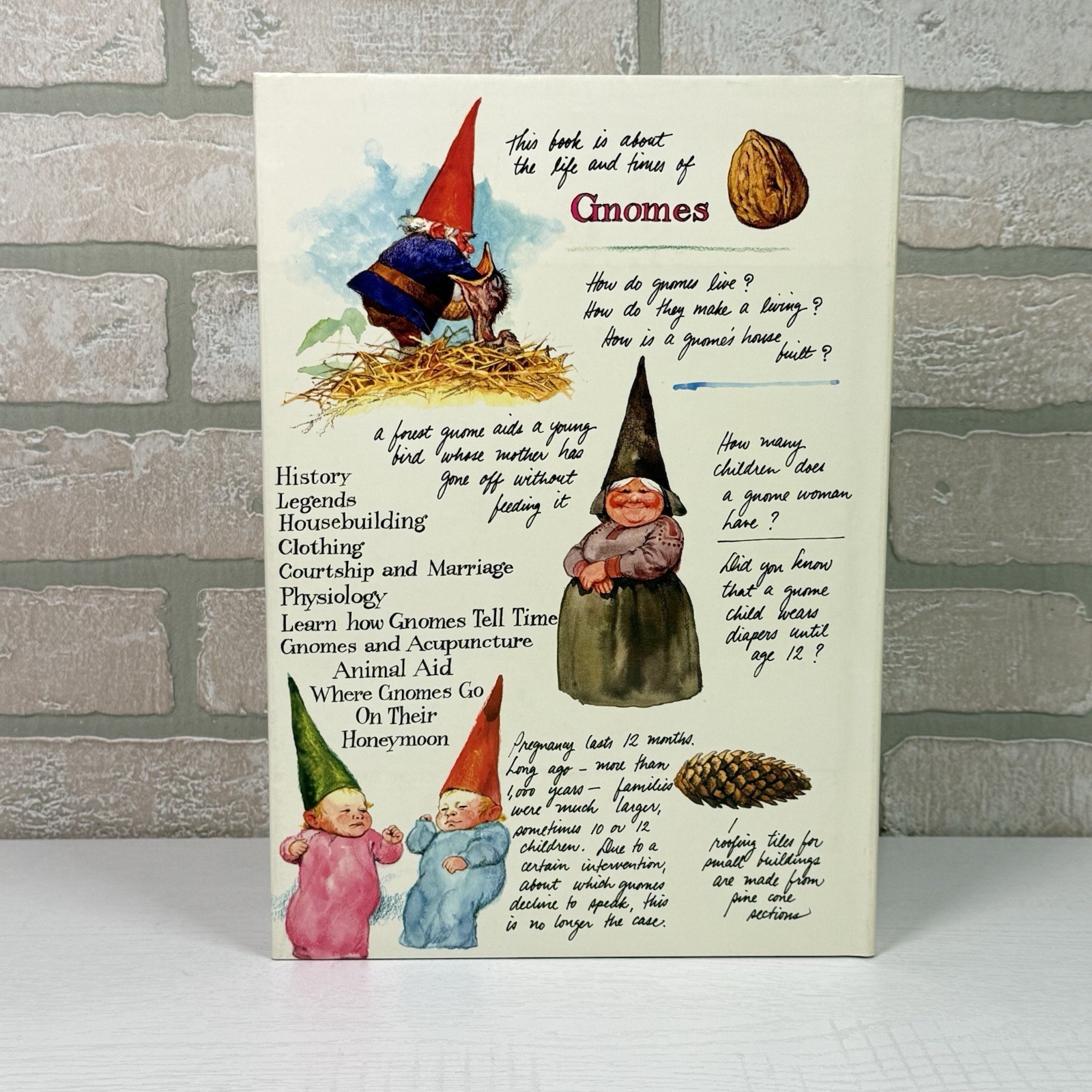 Gnomes Wil Huygen Rien Poortvliet 1977 Abrams Illustrated Fantasy Folklore HC DJ