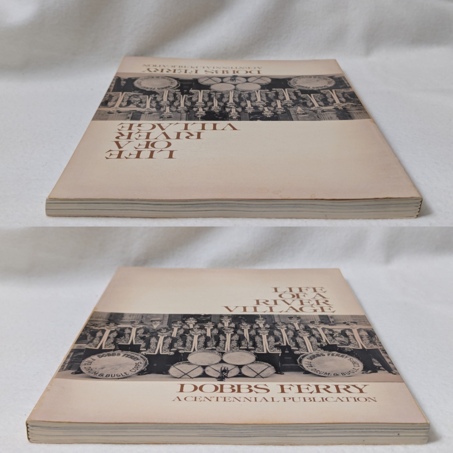 Life of a River Village : Dobbs Ferry, A Centennial Publication 1974 Paperback