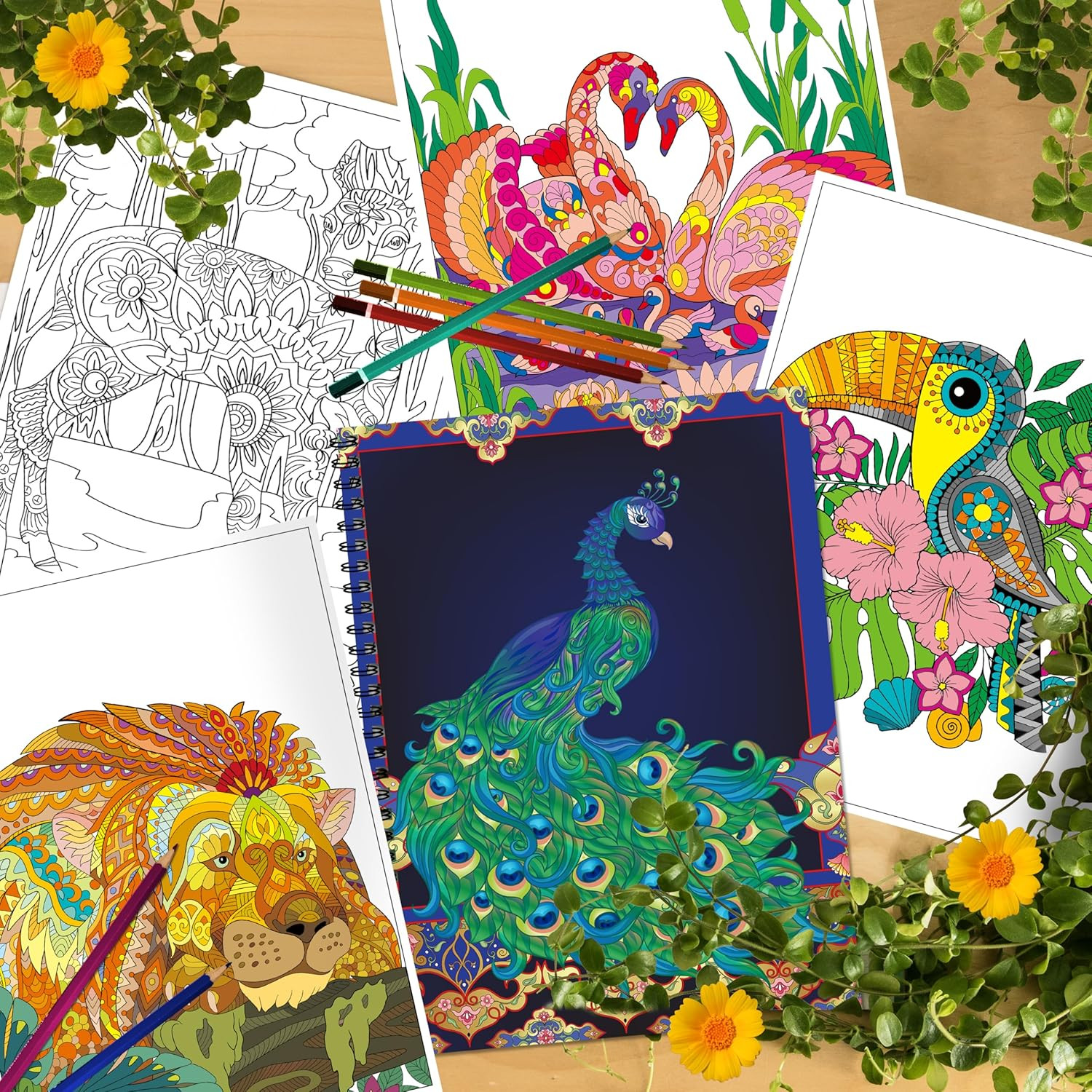 Kalysky Adult Coloring Books Set:3 Coloring Books for Adults Animal Flowers & Ot