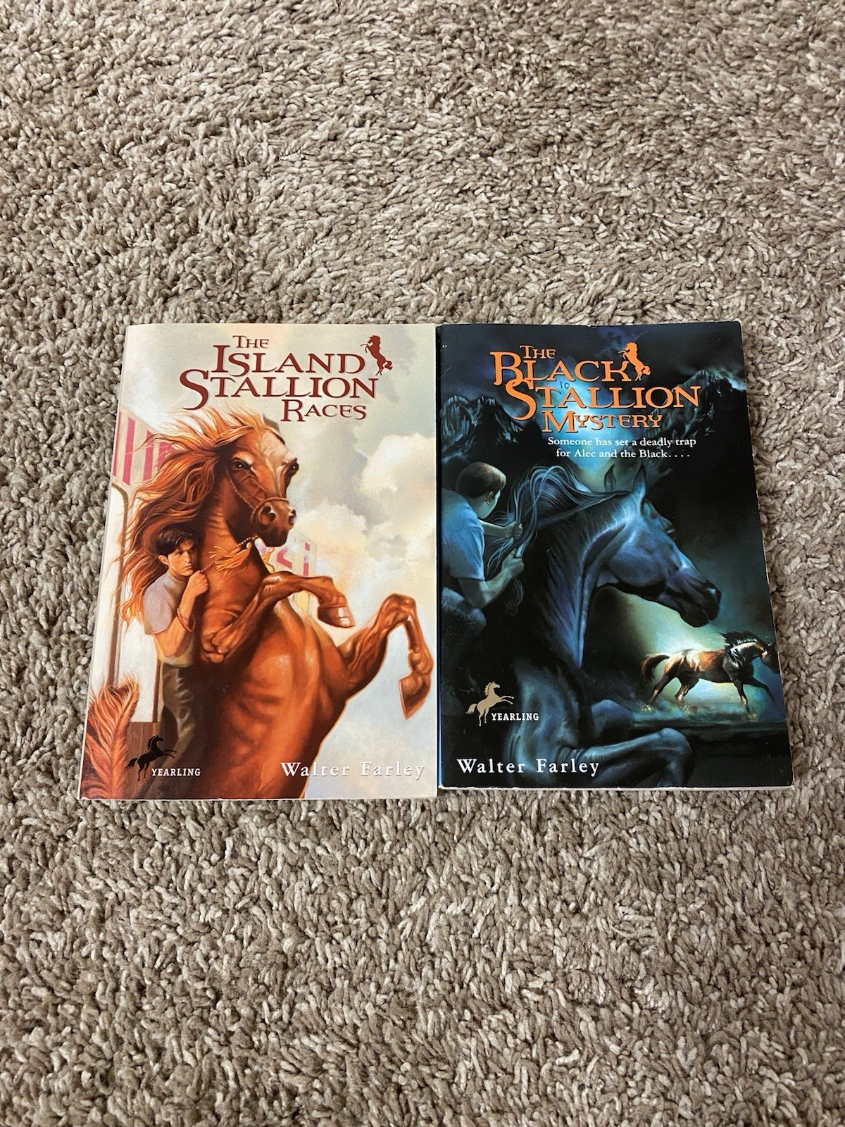 Lot of 12 The Black Stallion Series By Walter Farley Paperback