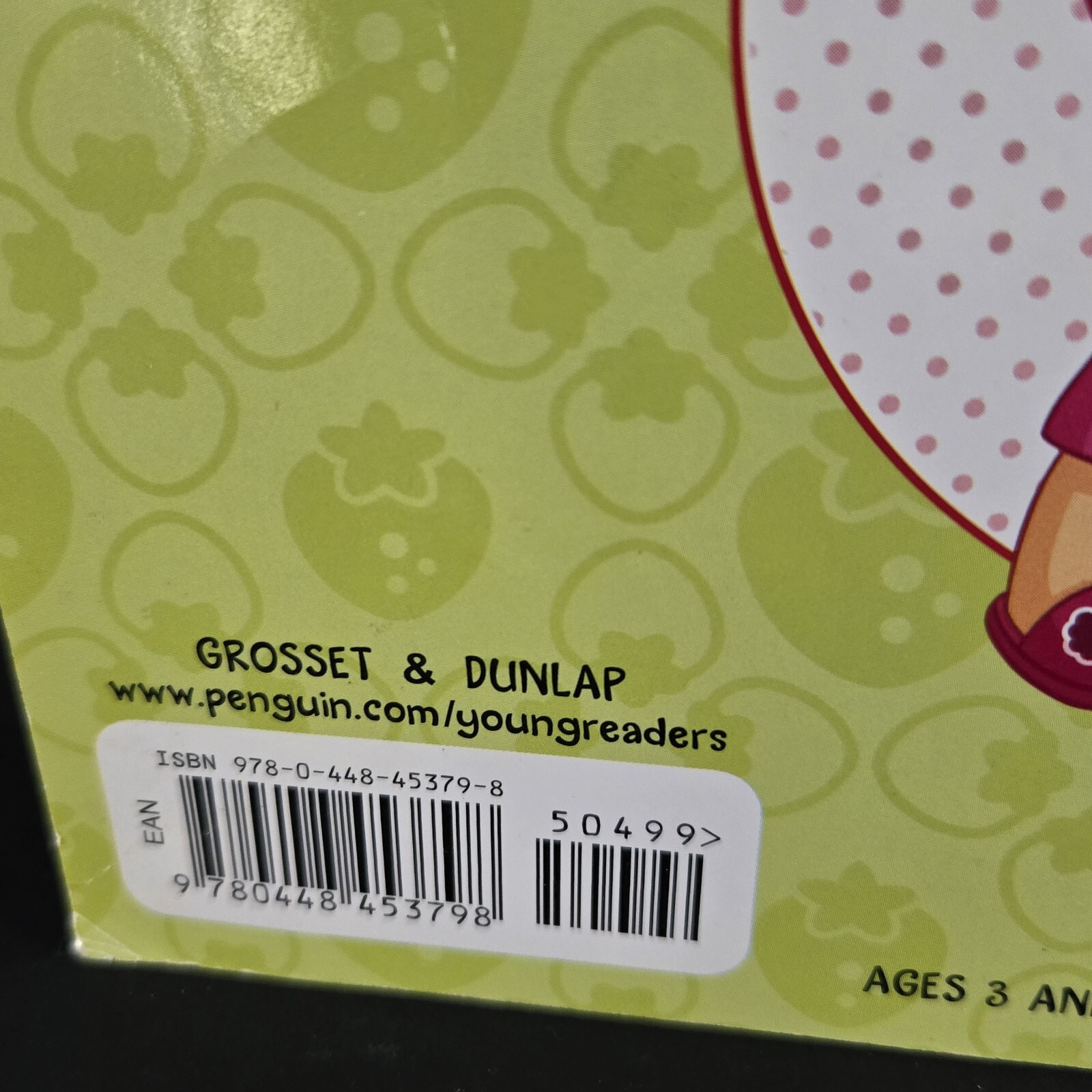 Lot Of 2 Strawberry Shortcake Books From 2010&rsquo;s