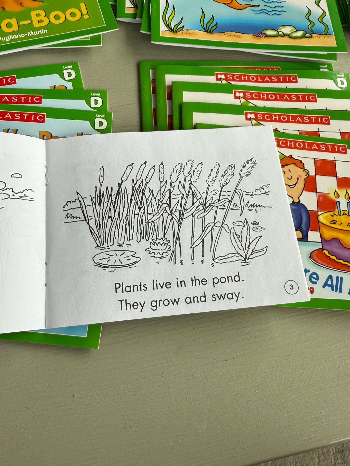 Scholastic Little Leveled Readers LEVEL D 75 Books (5 Copies 15 Titles) Box Set
