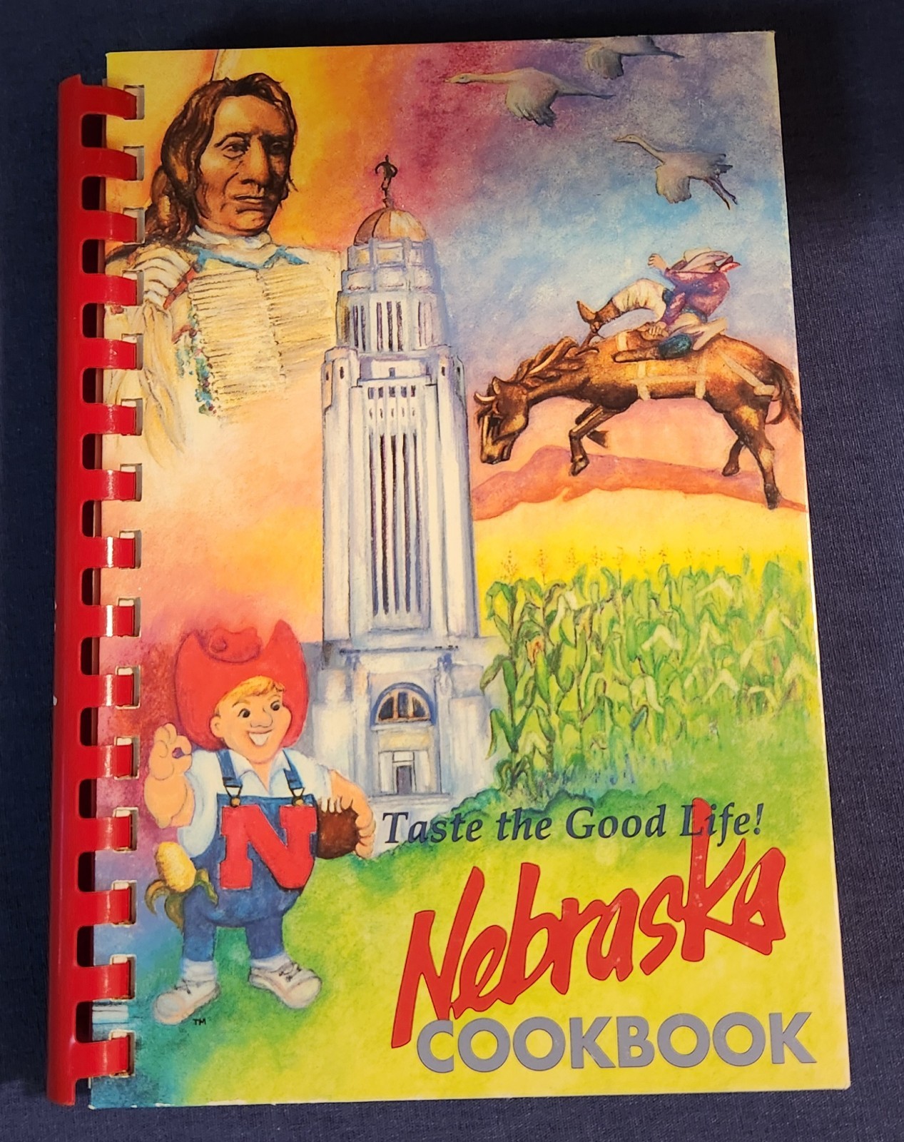 Nebraska Cookbook Taste the Good Life 1991 Leafie Mae&rsquo;s Kitchen Kearney NE