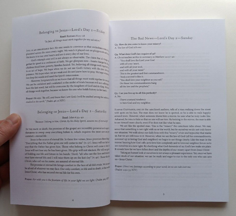 Our Only Comfort by Stephen C. Shaffer (Wipf & Stock, 2021)