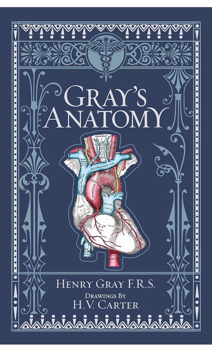 Gray&rsquo;s Anatomy Blue Leather Bound Hardcover Book by Henry Gray H.V. Carter