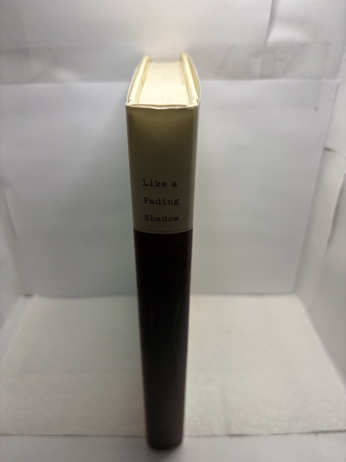 SIGNED Like a Fading Shadow by Antonio Muñoz Molina (1st Ed. 2017 HC)