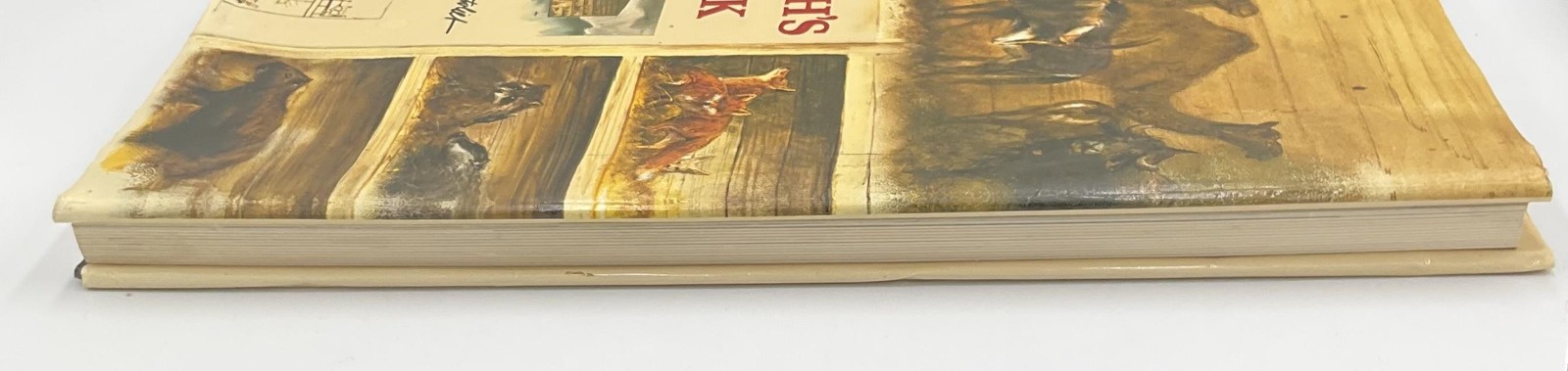 Vintage Noah&rsquo;s Ark Rien Poortvliet HC Beige Illustrated 1986 Abrams Netherlands