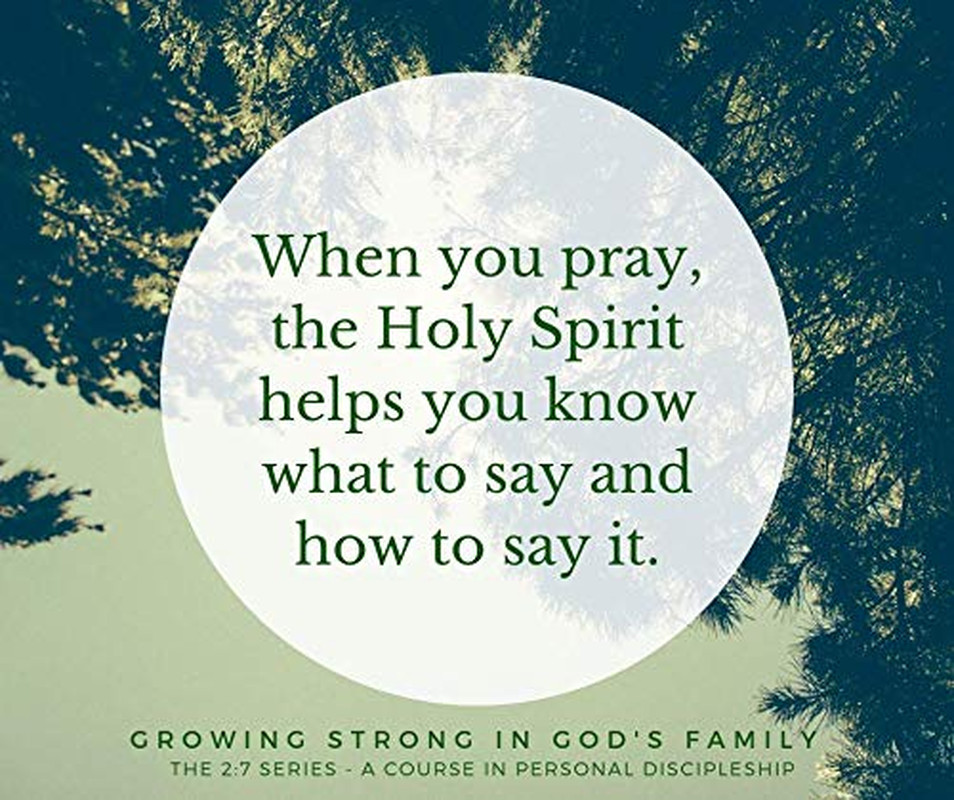 Strengthen Your Faith: Rooted in God&rsquo;s Family (The 2:7 Series)
