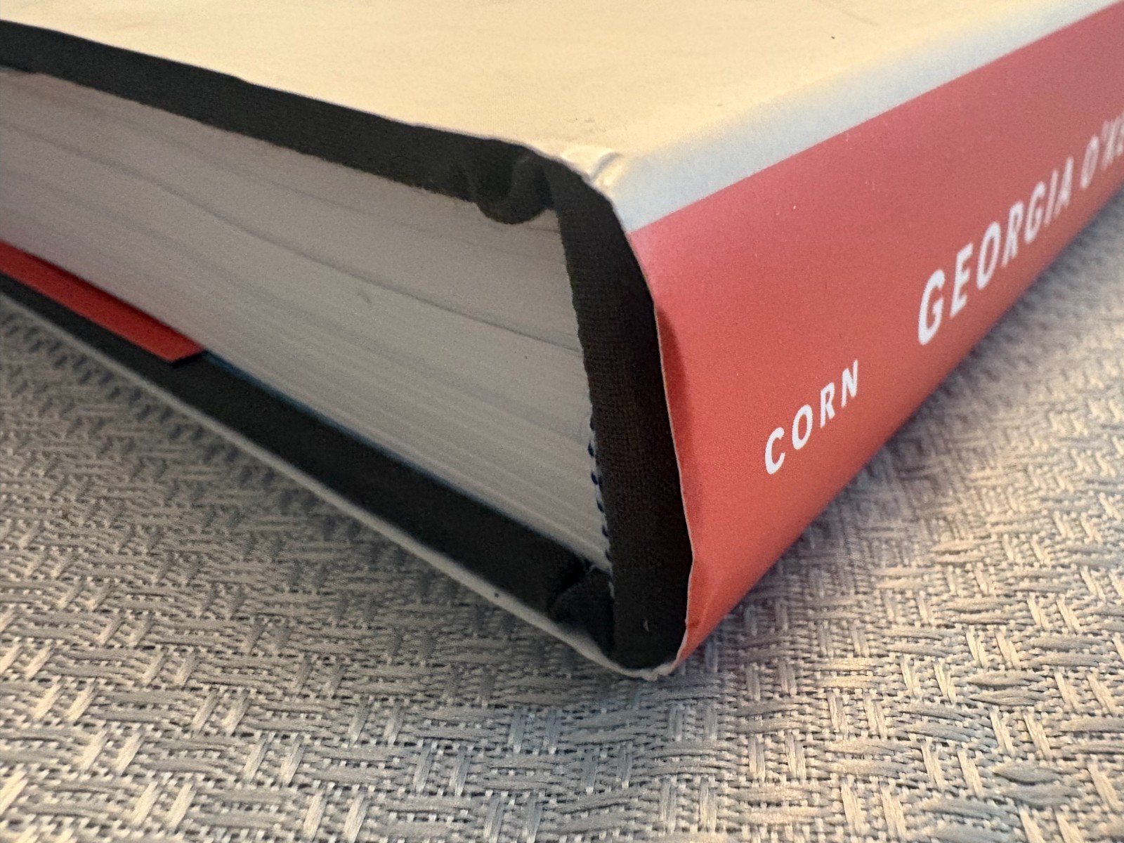 Georgia O&rsquo;Keeffe: Living Modern by Wanda Corn HC/DJ 2017