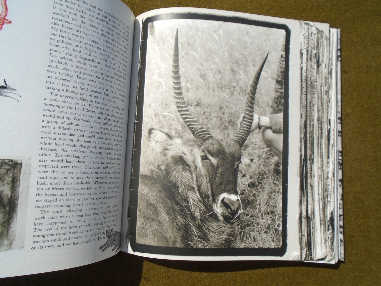 The End of the Game By Peter Beard Taschen 2008 Hardcover African Wildlife ~ VG+