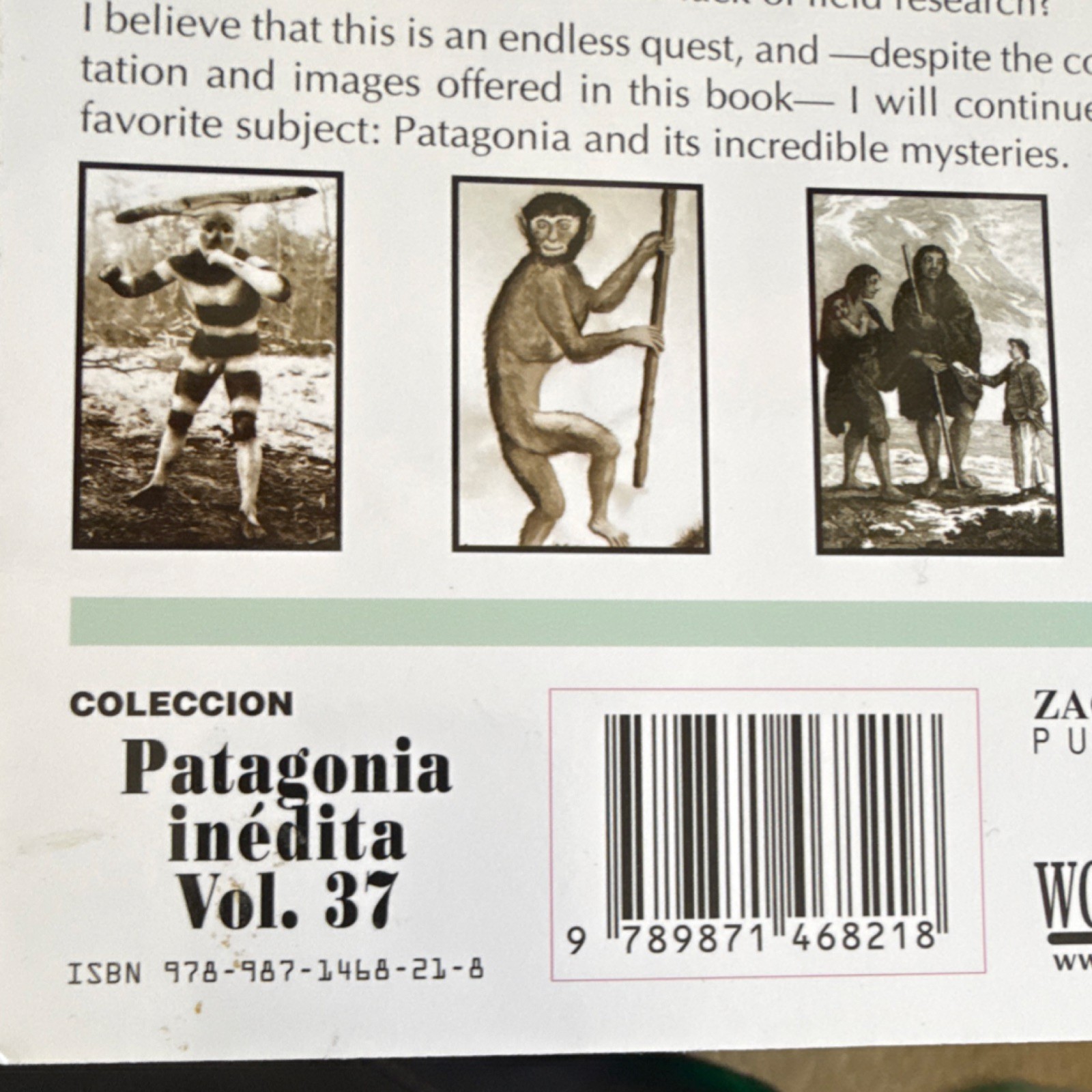 Monsters of Patagonia by Austin Whittall (2013, Paperback, Zagier & Urruty)