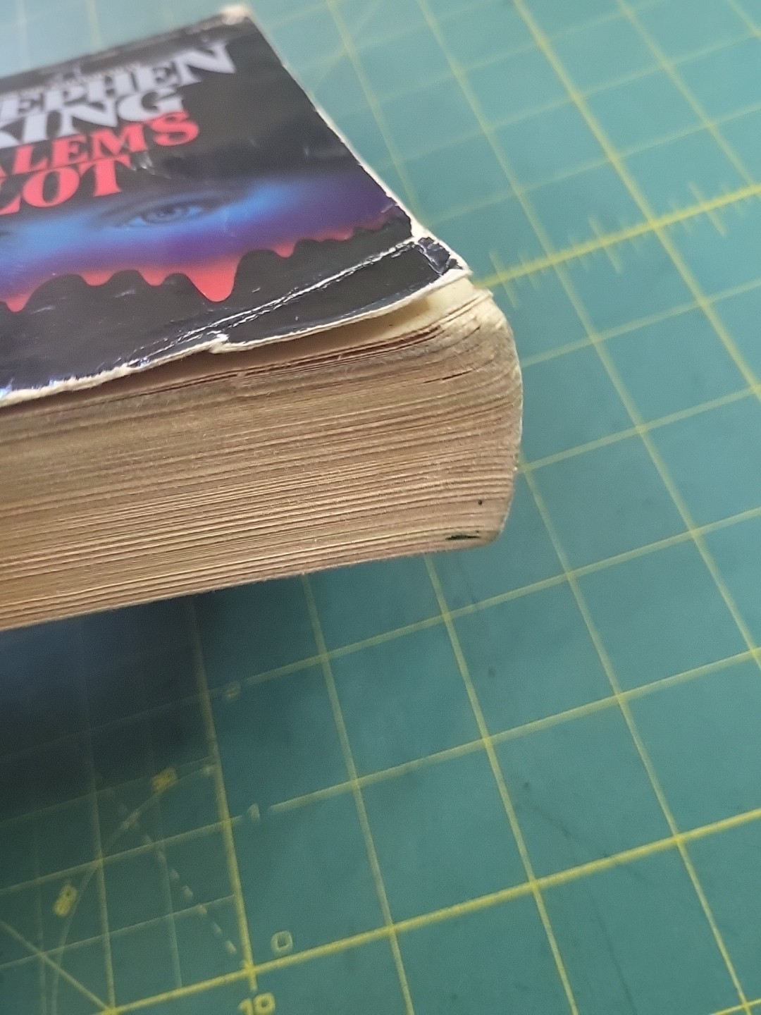 Stephen King &lsquo;SALEM&rsquo;S LOT – Signet Paperback – 1976 Horror Vintage Vampires