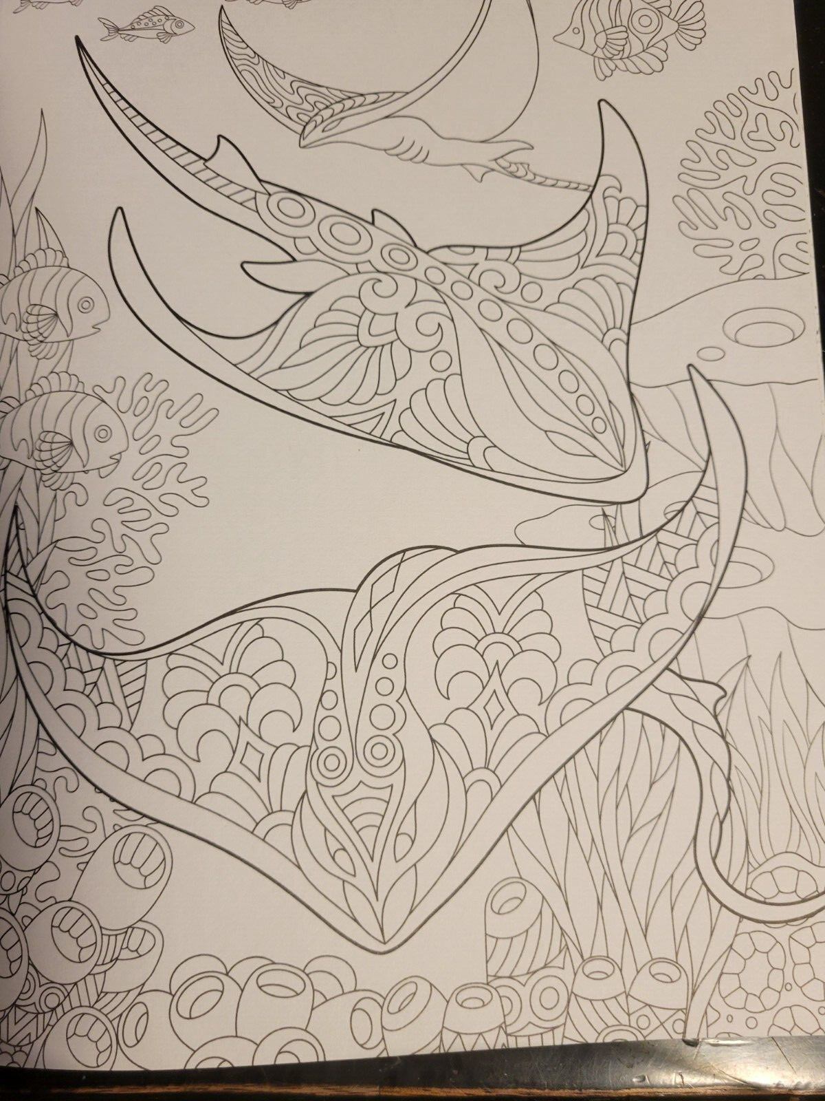MAJESTIC CREATURES Vol 13 Adult Coloring Book With 47 Prints Ready To Frame