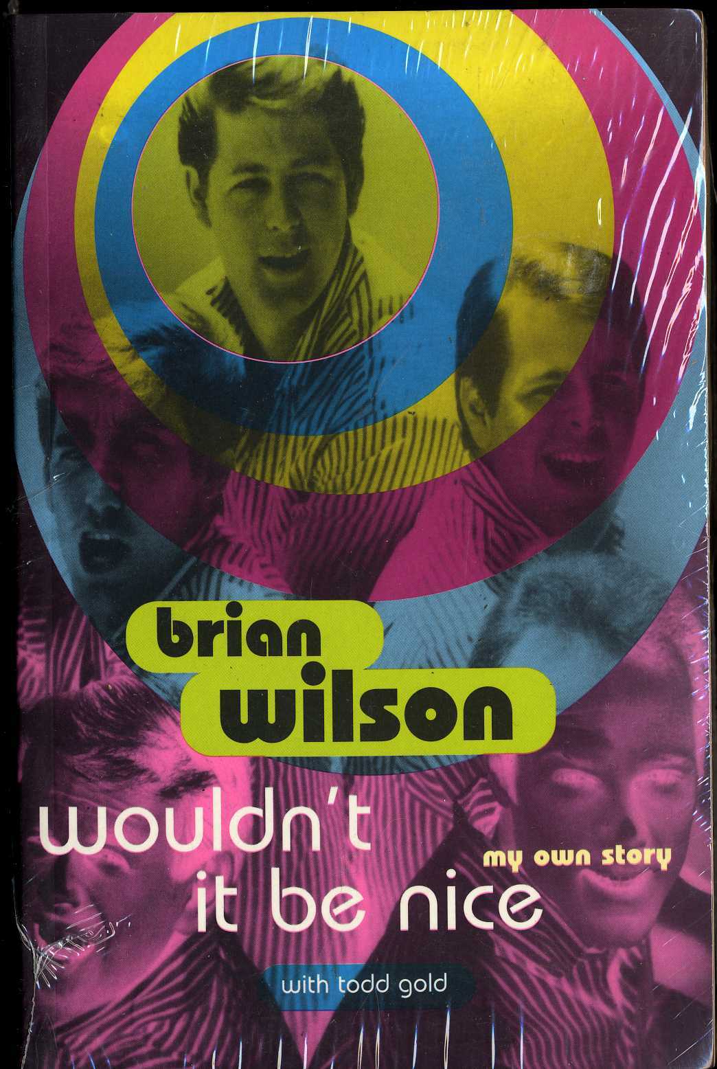 BRIAN WILSON – Wouldn&rsquo;t It Be Nice – Todd Gold – Paperback 1996 Issue 398 Pages