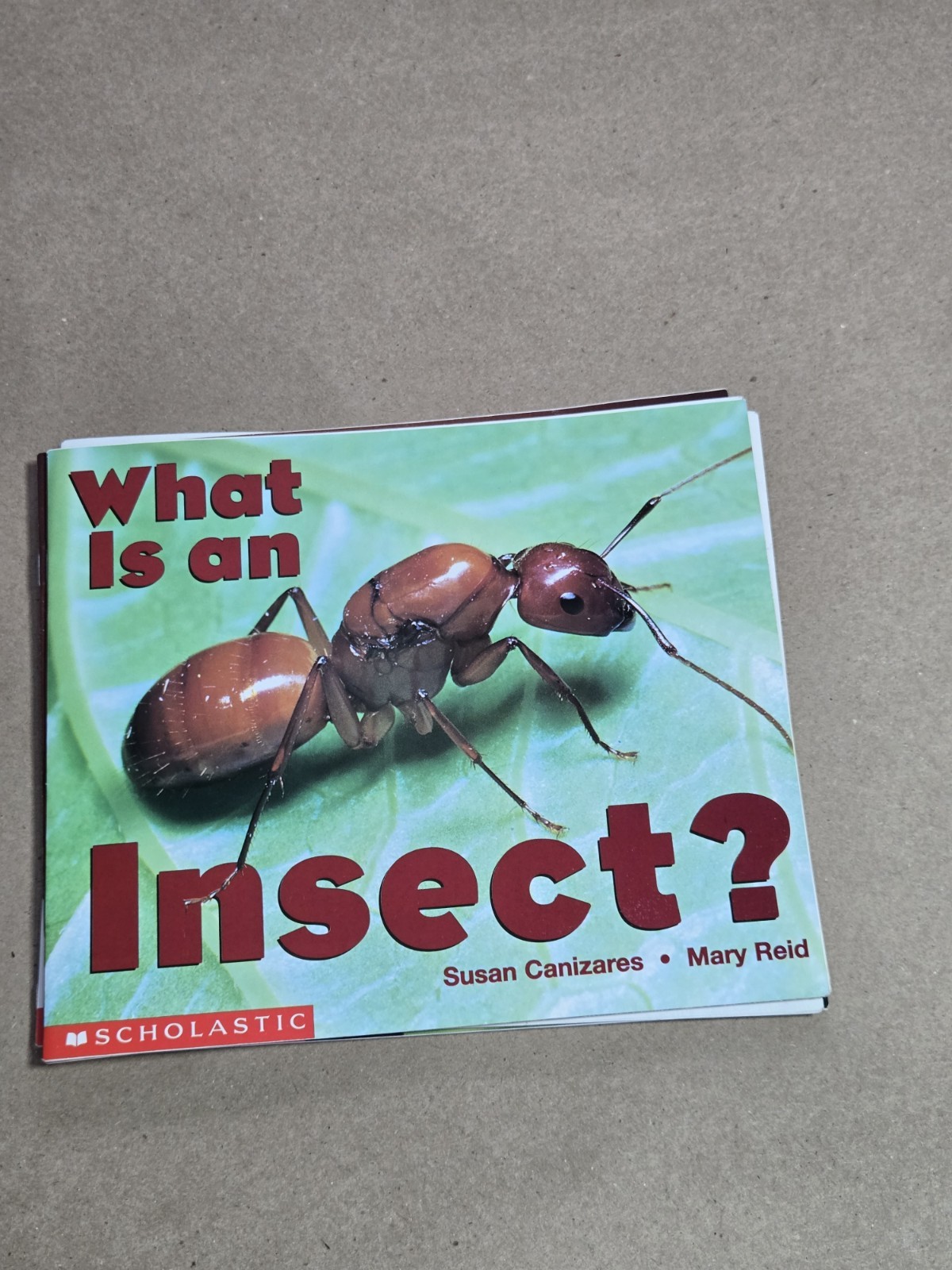 Scholastic Science Emergent Readers Lot of [22] Kids Guided Reading Books
