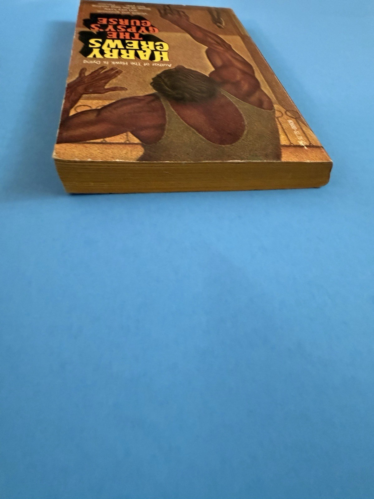 GYPSYS CURSE By Harry Crews 1976 Pocket Books Paperback 1st Printing