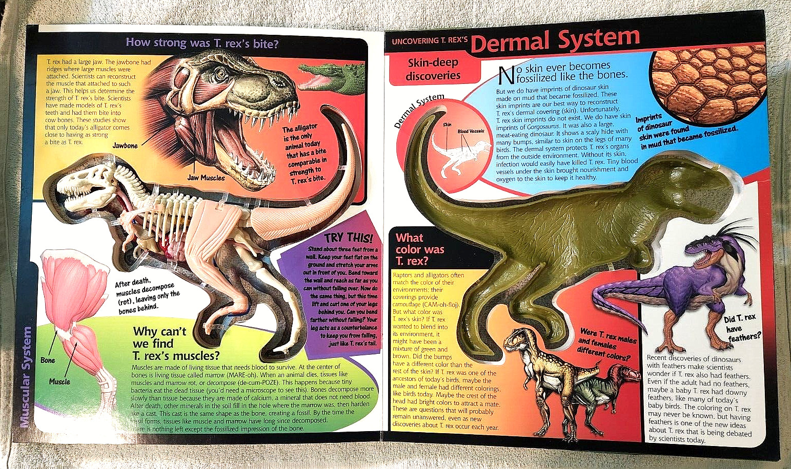 Take A Three-Dimensional Look Inside a T-Rex (2003 Readerlink Uncover Books Used