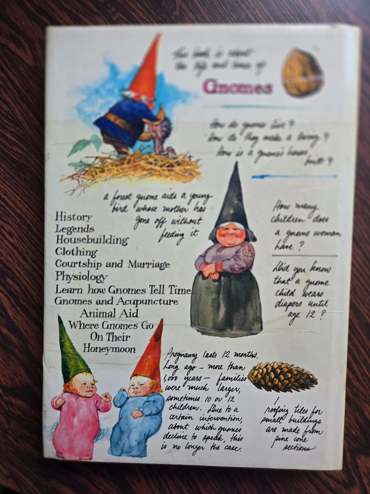 Gnomes by Wil Huygen & Rien Poortvliet 1977 Hardcover Illustrated Dust Jacket