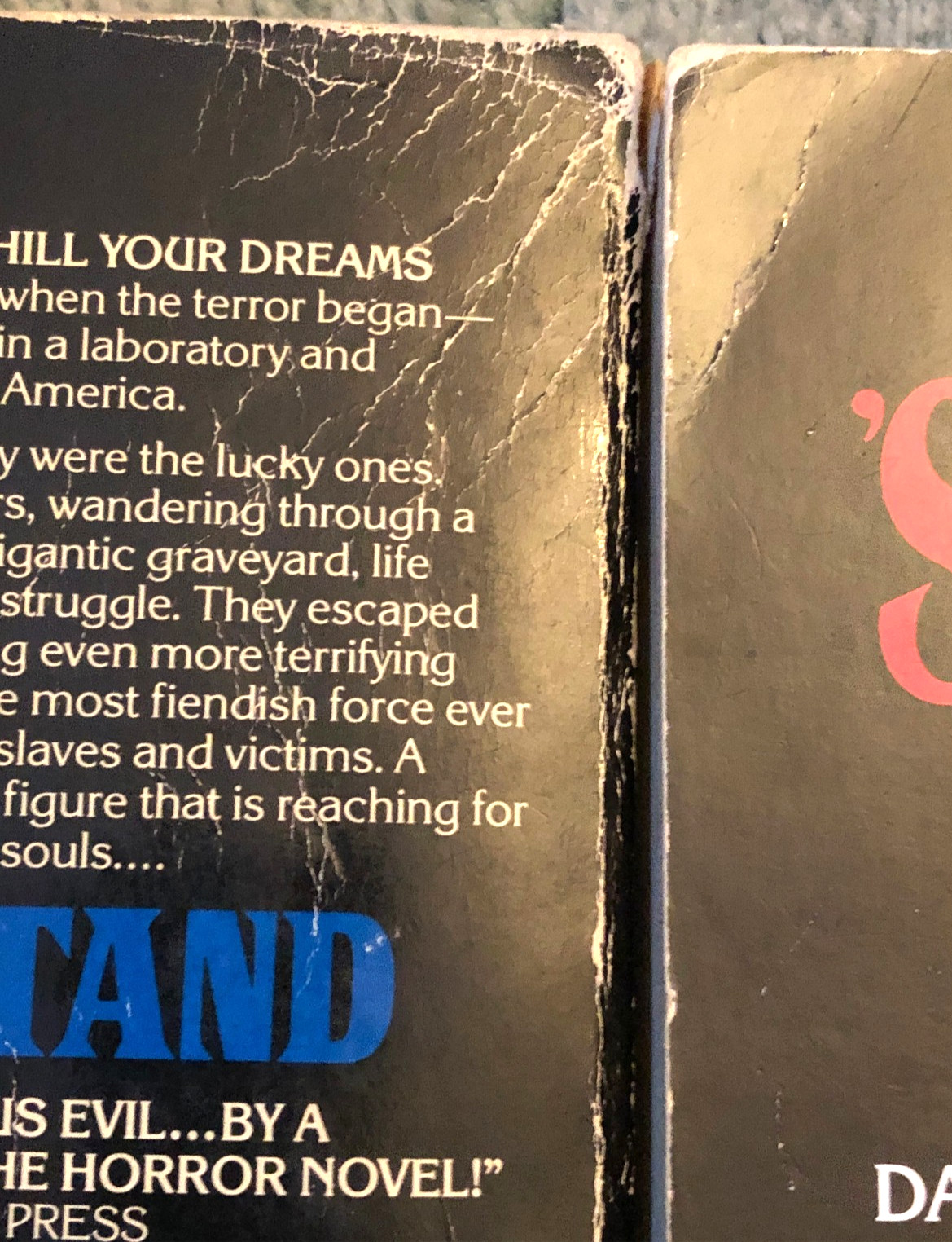 Stephen King books, Salem&rsquo;s Lot & The Stand, Signet paperbacks
