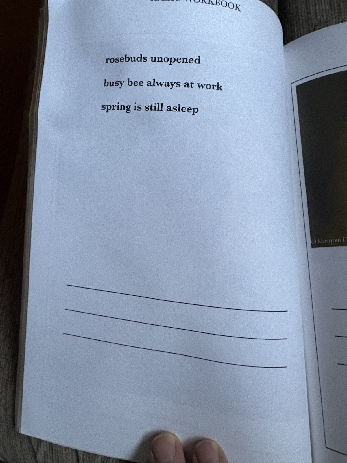 Haiku Workbook Maryam Daftari 2022 Like New Paperback