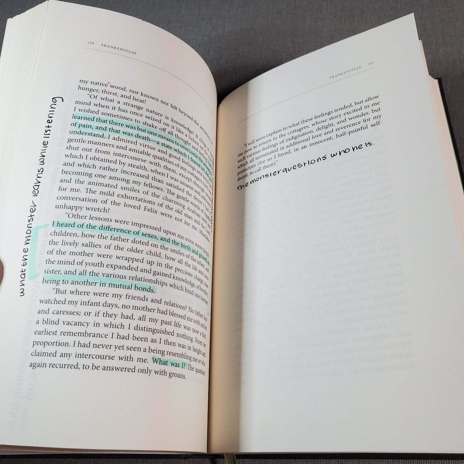 Frankenstein Mary Shelley 2018 Hardcover Paper Mill Press Classic Horror Novel