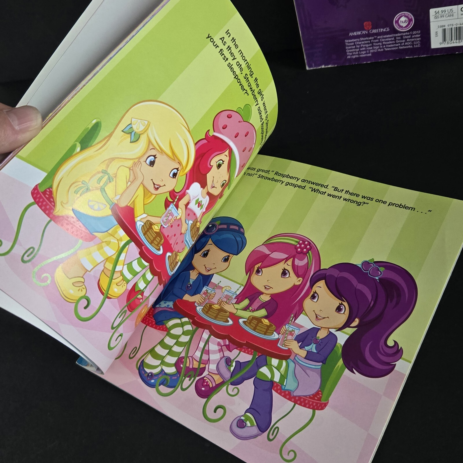 Lot Of 2 Strawberry Shortcake Books From 2010&rsquo;s