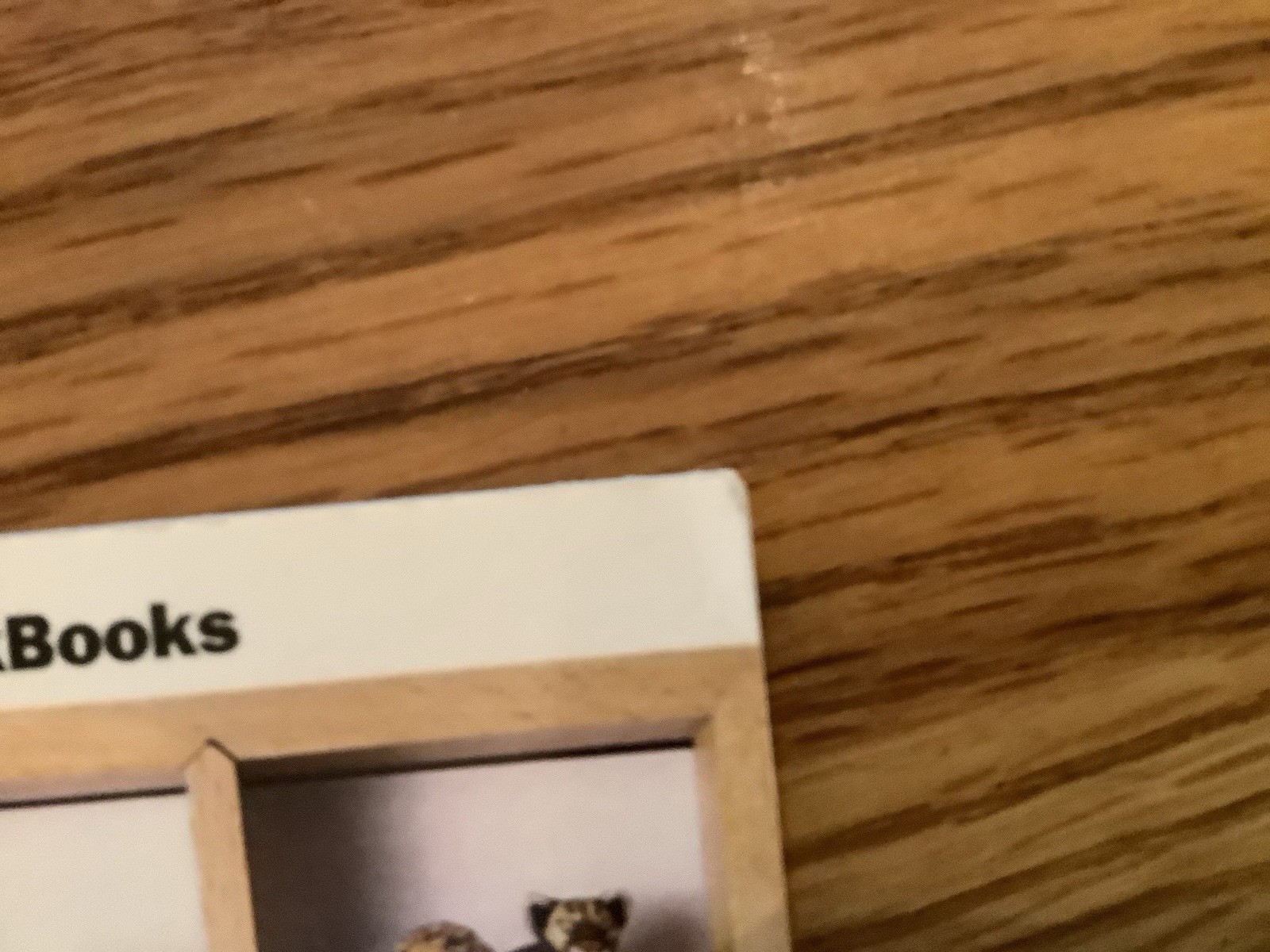 American Girl Doll Backpack Book-Collections