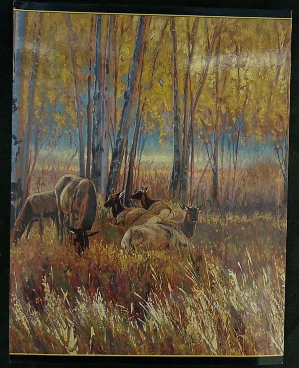 Colorado Bowhunting Records of Big Game Animals 5th Ed. paperback 364 pages
