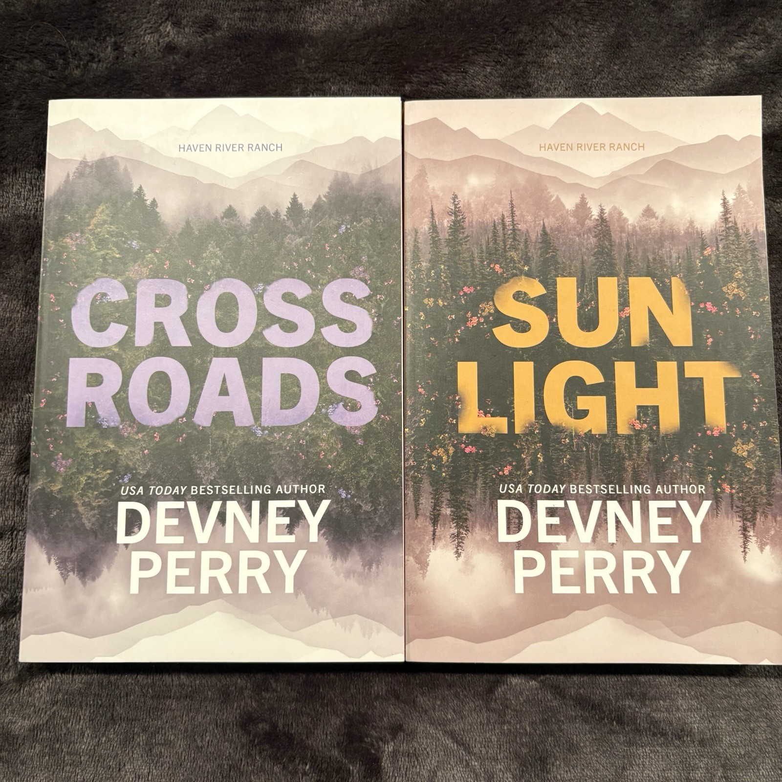 Haven River Ranch Series By Devney Perry 2 Book Series Crossroads & Sunlight