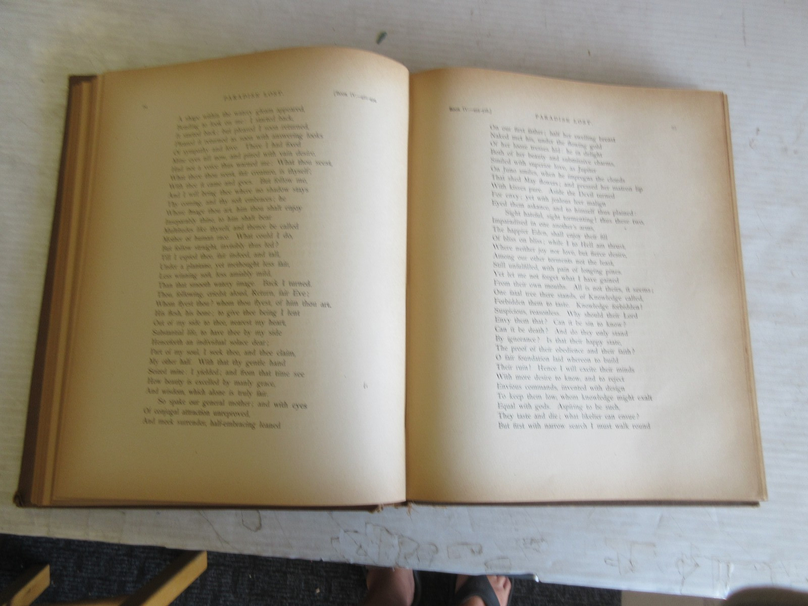 MILTON&rsquo;S PARADISE LOST EDITED BY HENRY C. WALSH, AM 1900