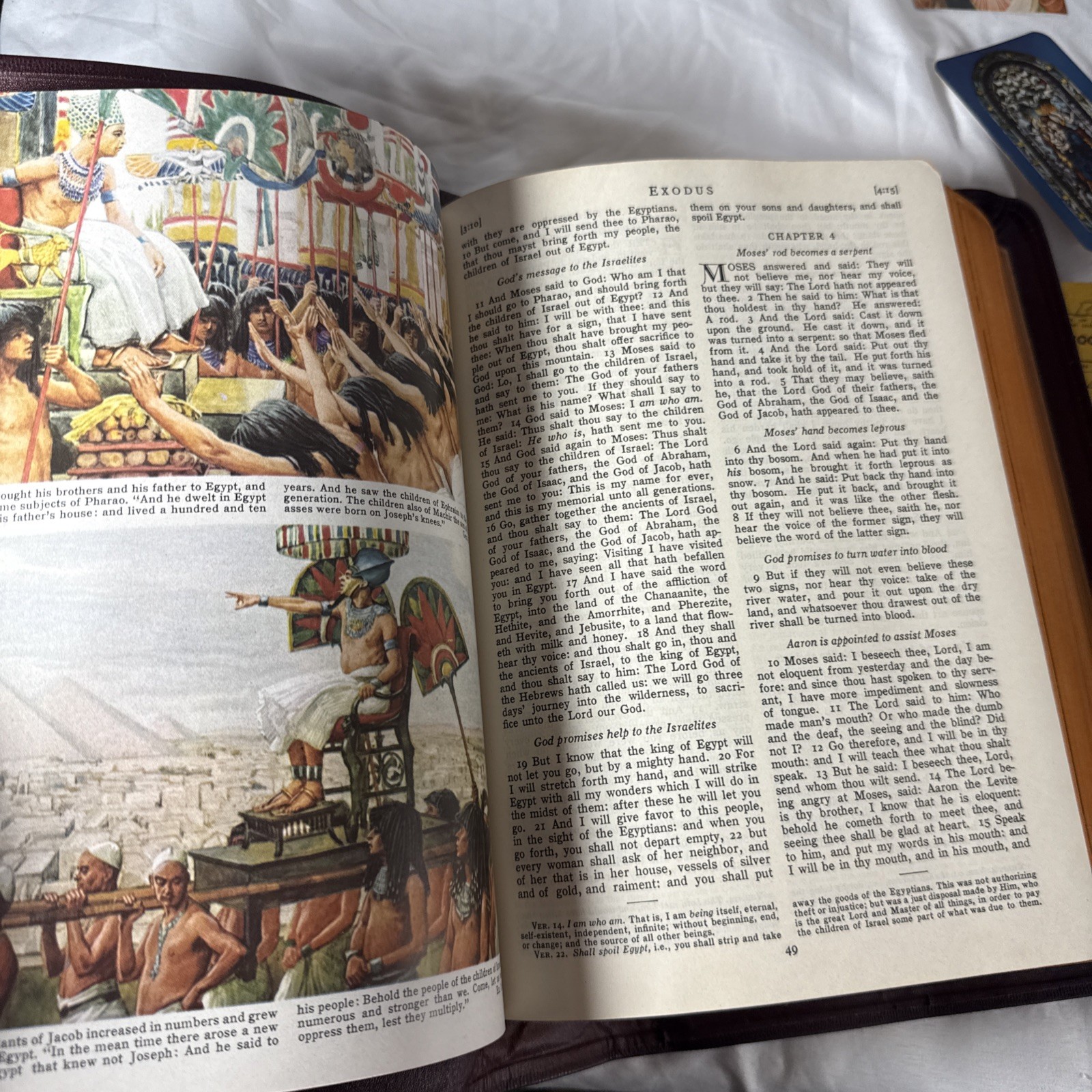 The Catholic Press Family Edition of the Holy Bible 1950s by John P O’Connell 3G