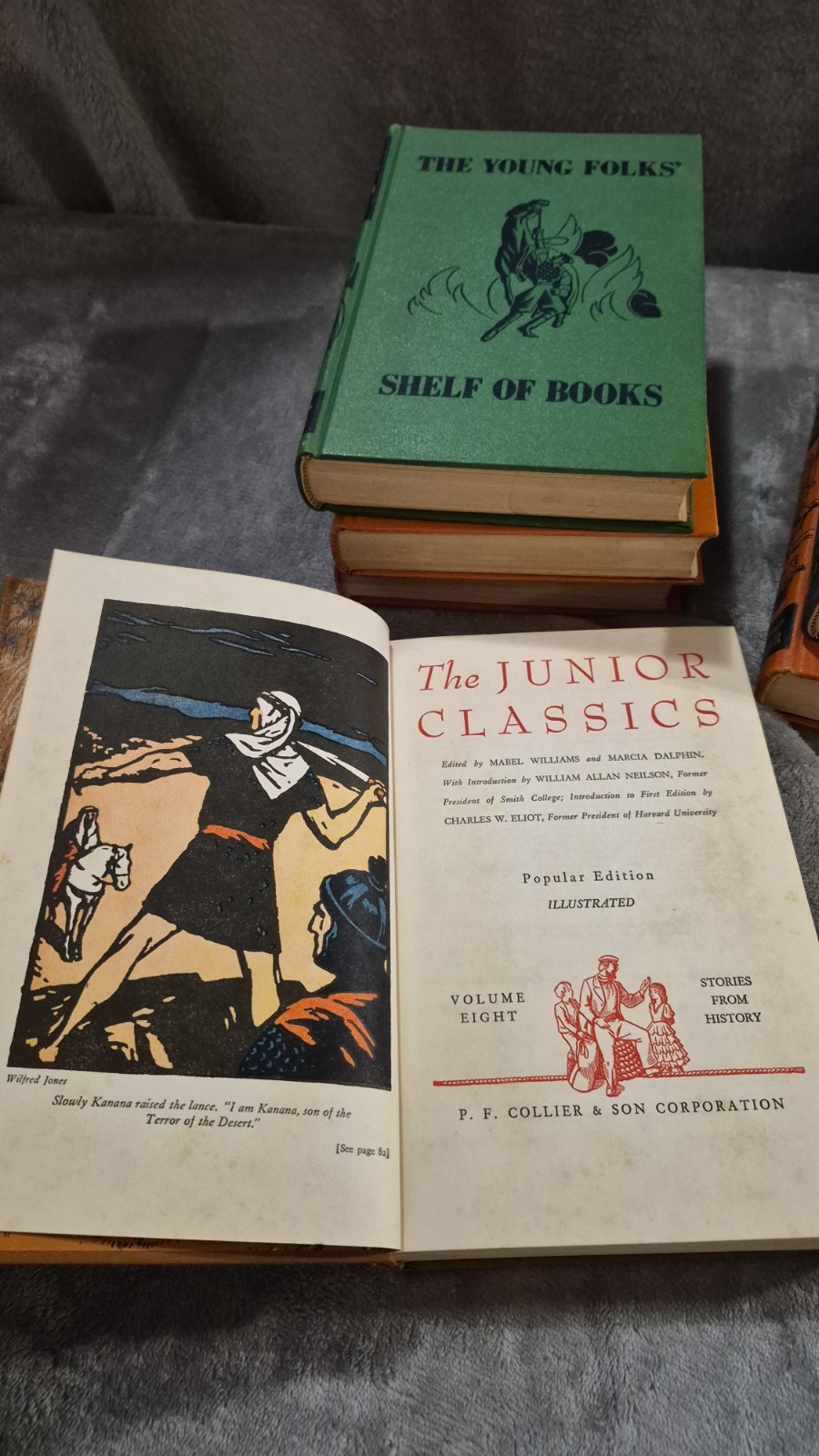 Collier&rsquo;s The Junior Classics: The Young Folks Shelf of Books Set 6 Hardback OBO