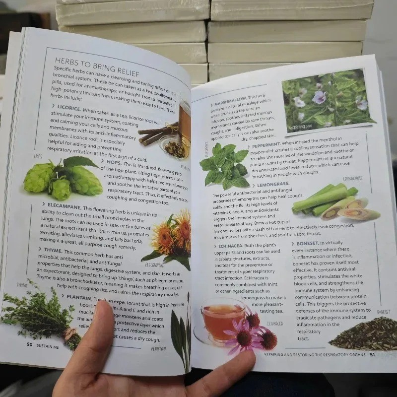 Sustain Me Book – Barbara O&rsquo;Neill’s New Book Sealed In Hand – Free shipping Usa