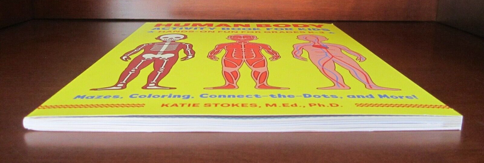 Human Body Activity Book for Kids : Hands-On Fun for Grades K-3 by Katie Stokes