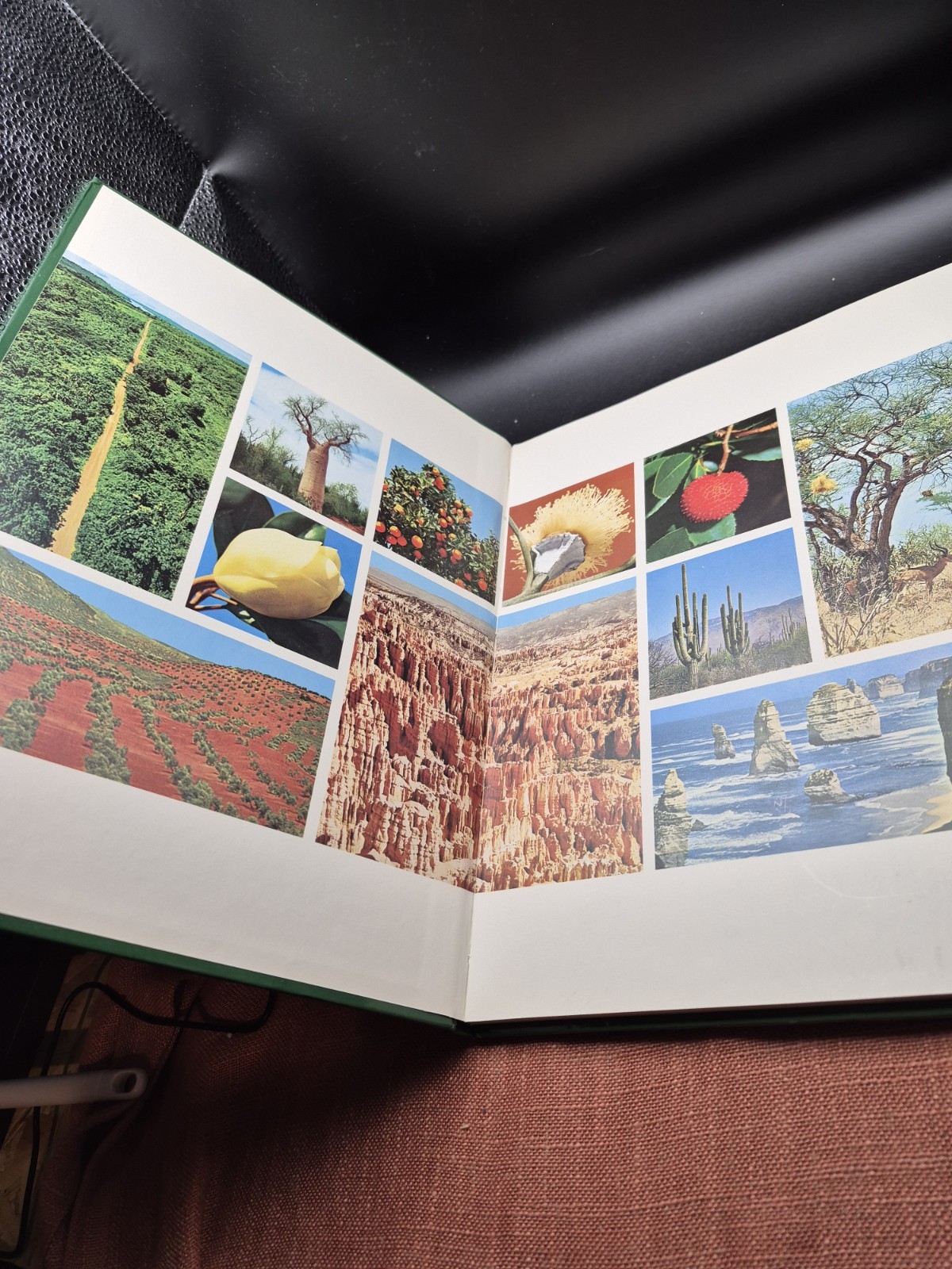 Purnell&rsquo;s Illustrated Nature Atlas. Edited by Norman Barrett. Vintage book, 1980